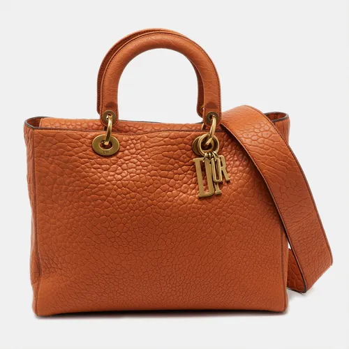 Dior Orange Canyon Grained Leather Large