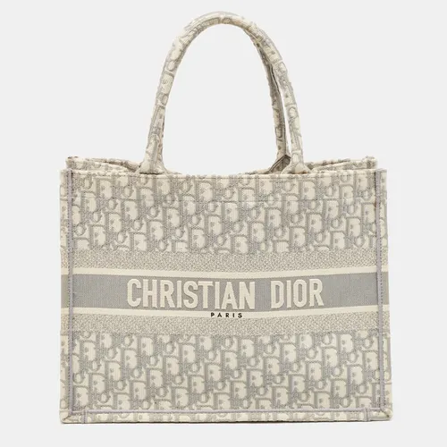 Dior Grey Oblique Embroidered Canvas