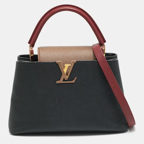 Louis Vuitton Capucines MM Tricolor