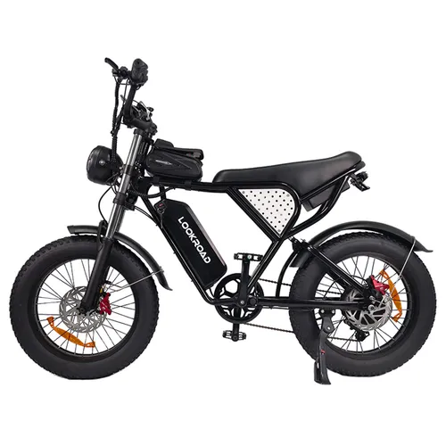 LOOKROAD L20 Electric Bike, 1500W Motor, 48V 20Ah Removable Battery, 55km/h Max Speed, 130km Range, 20-Inch Fat Tires, Shimano 7-Speed, Dual Suspension, Hydraulic Disc Brakes, LCD Display, Retro Design