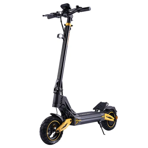 TWOFISH V2 MAX Electric Scooter, 600W Motor, 48V 17Ah Battery, 10 inch Tires, 53km/h Max Speed, 40km Range, Mechanical Disc Brakes, Spring Suspension, LCD Display