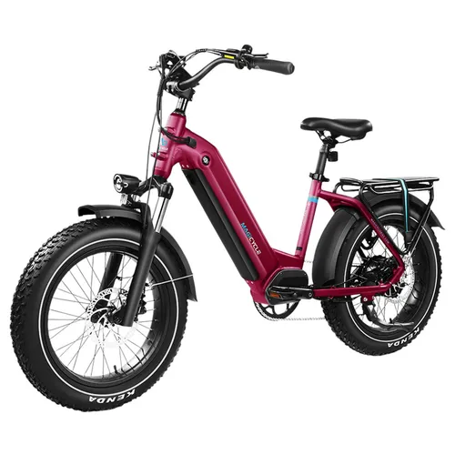 Magicycle Ocelot Pro Electric Bike, 750W Motor, 52V 20Ah Battery, 20*4.0 inch